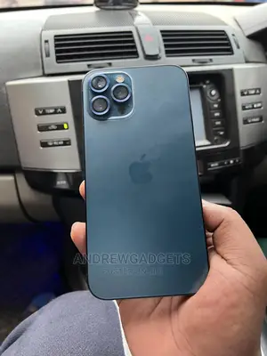 Apple iPhone 12 Pro Max 256 GB Blue