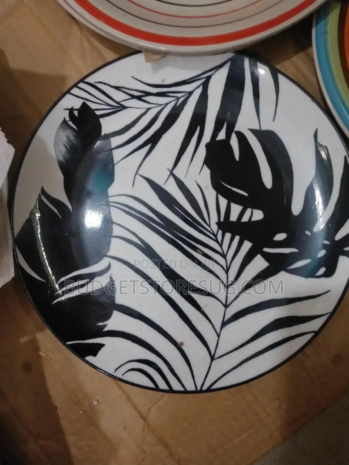 Ceramic Dinner Plates