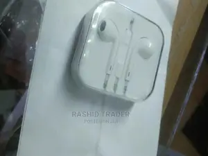 Apple Earphones