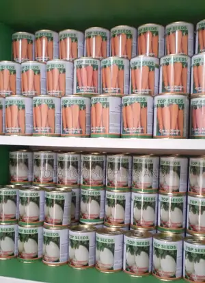 Top Seeds Carrots and More