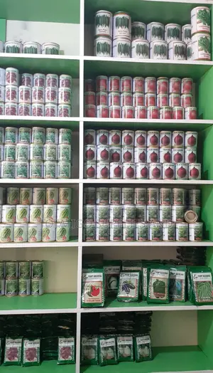 50gm Seeds All Types