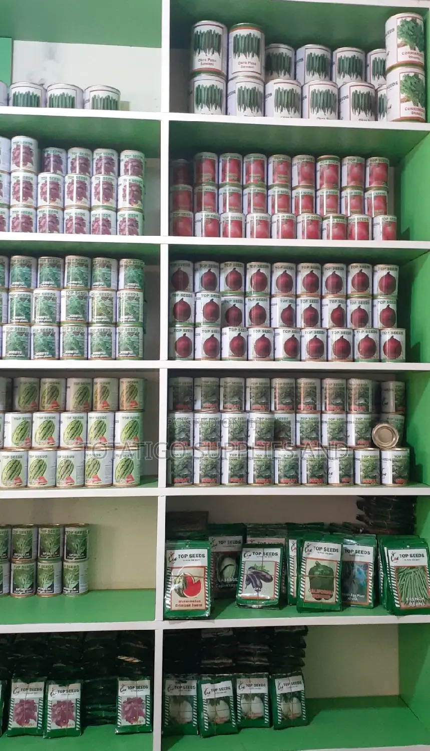50gm Seeds All Types