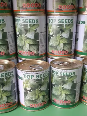 Dodo Seeds