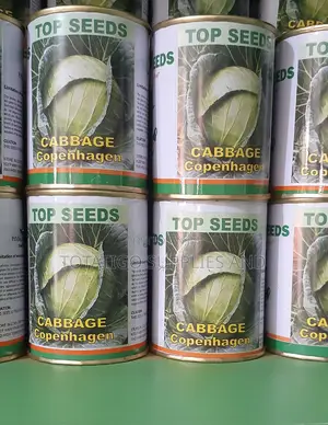 Cabbage Copenhagen