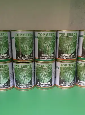 50gm Spinach Seeds