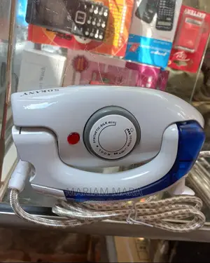 Hand Held Steam Iron