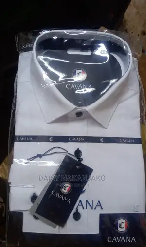 Plain White Shirt