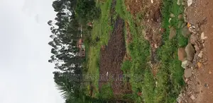Buwate-Kungu 14 Decimals Plot