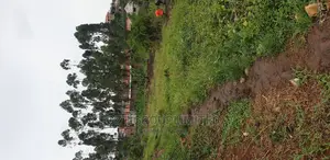Buwate-Kungu 14 Decimals Plot