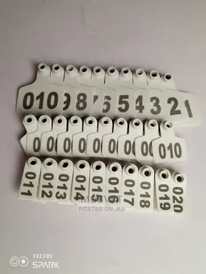 Ear Tags White