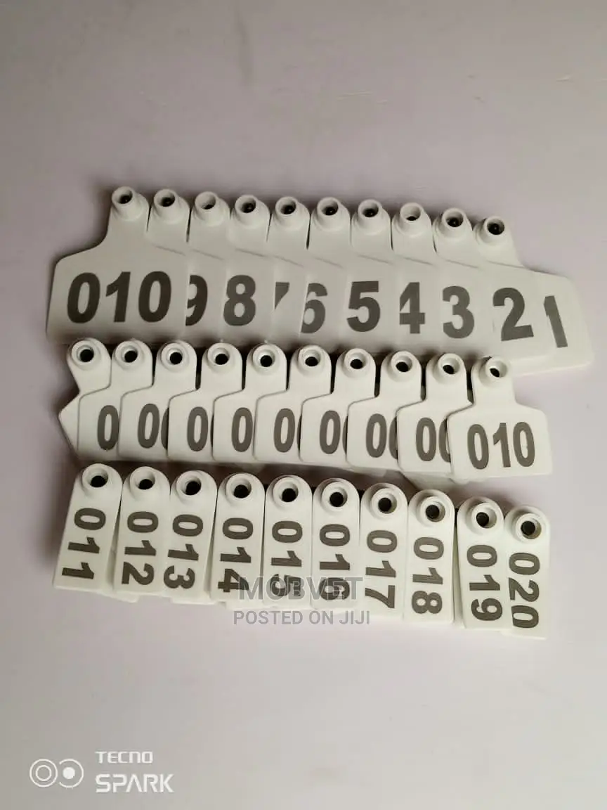 Ear Tags White