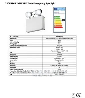 EMERGENCY Twin 2x3w White Daylight LED Spotlight