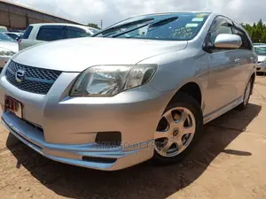 Toyota Corolla Fielder 2008 Silver