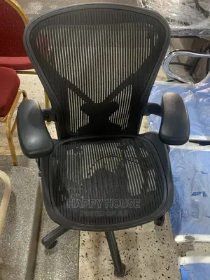 Herman Miller Office Chair (B)