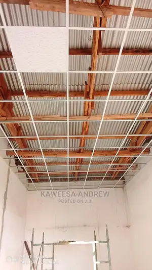 Gypsum and Suspended Ceiling