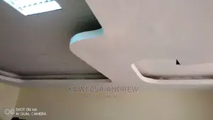 Gypsum and Suspended Ceiling
