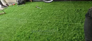Artificial Grass