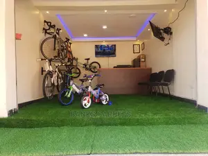 Artificial Grass