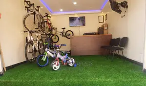 Artificial Grass