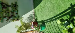 Artificial Grass