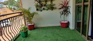 Grass Carpets