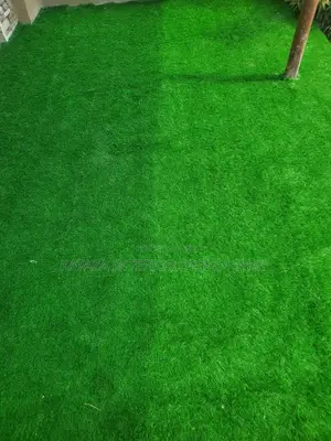 Grass Carpet/Artificial Turf Grass Carpet/Synthetic Turf