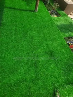 Grass Carpet/Artificial Turf Grass Carpet/Synthetic Turf