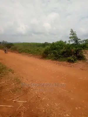 500 Acres With Land Title for Sale