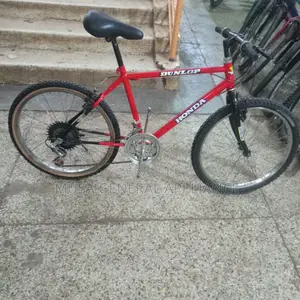 Japanise Bike