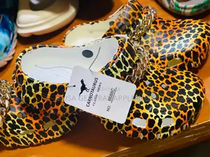 Tiger Shoe 40-45
