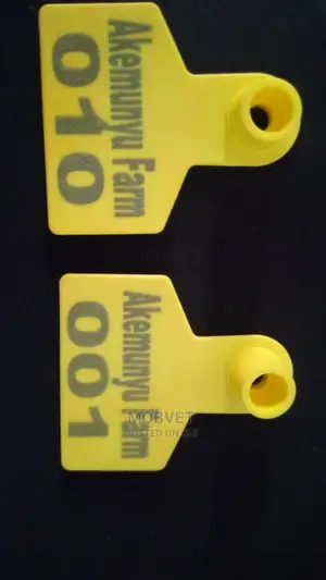 Customised Ear Tags (Sample)