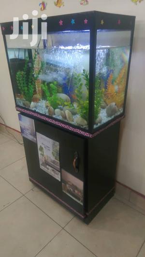 Aquariums In Uganda