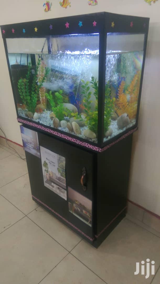 Aquariums In Uganda