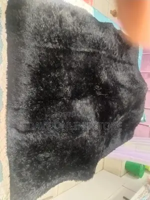 Area Rugs/Carpets