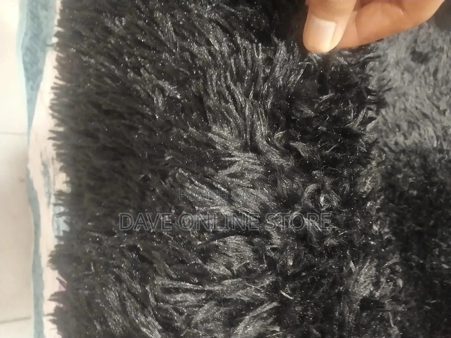 Area Rugs/Carpets