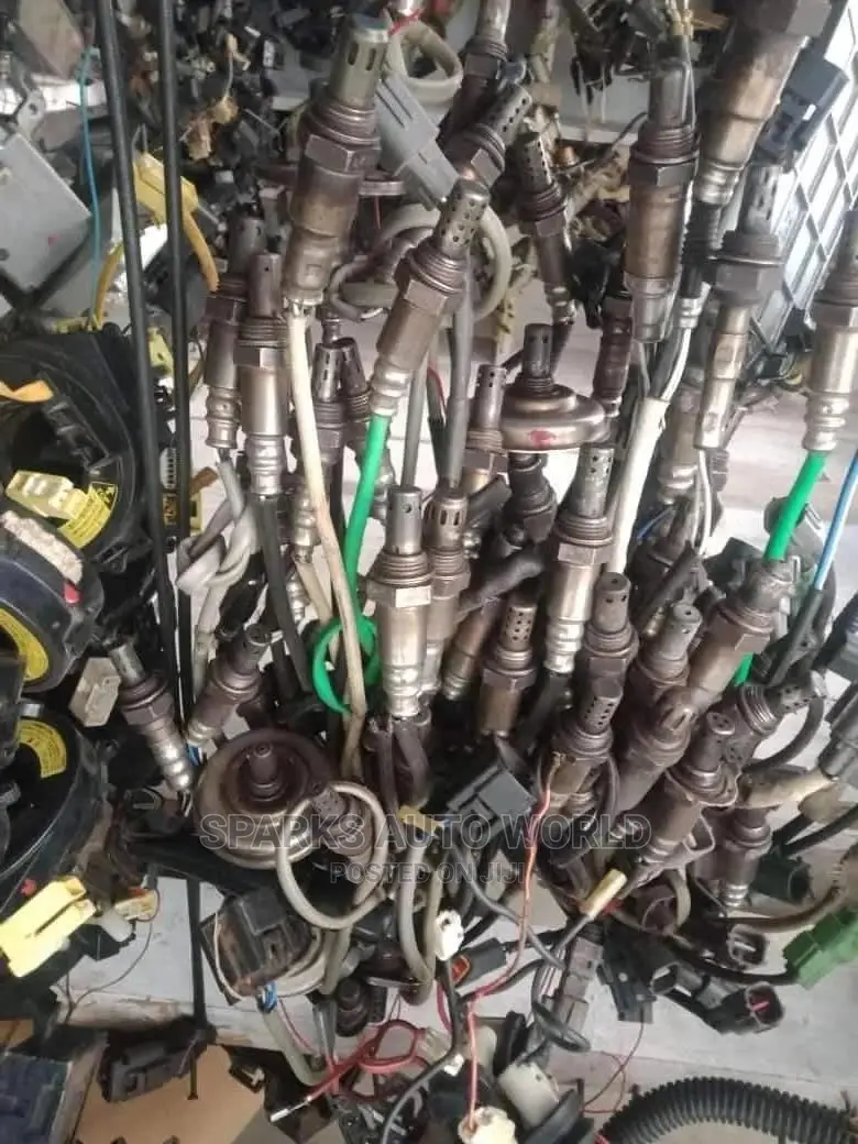 Oxygen Sensor