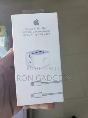 Original iPhone Charger