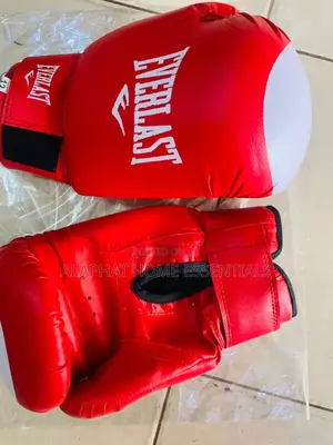 Everlast Boxing Gloves