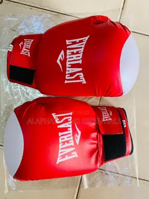 Everlast Boxing Gloves