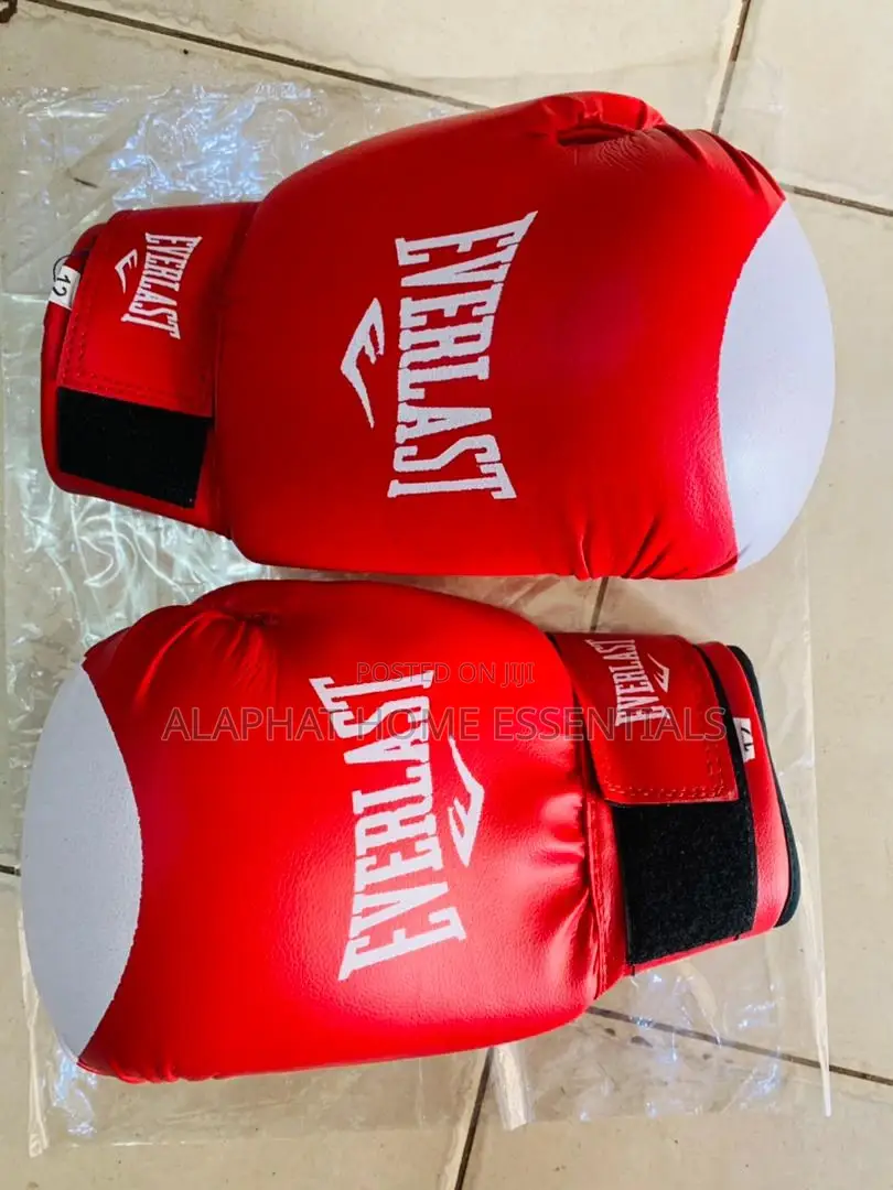 Everlast Boxing Gloves