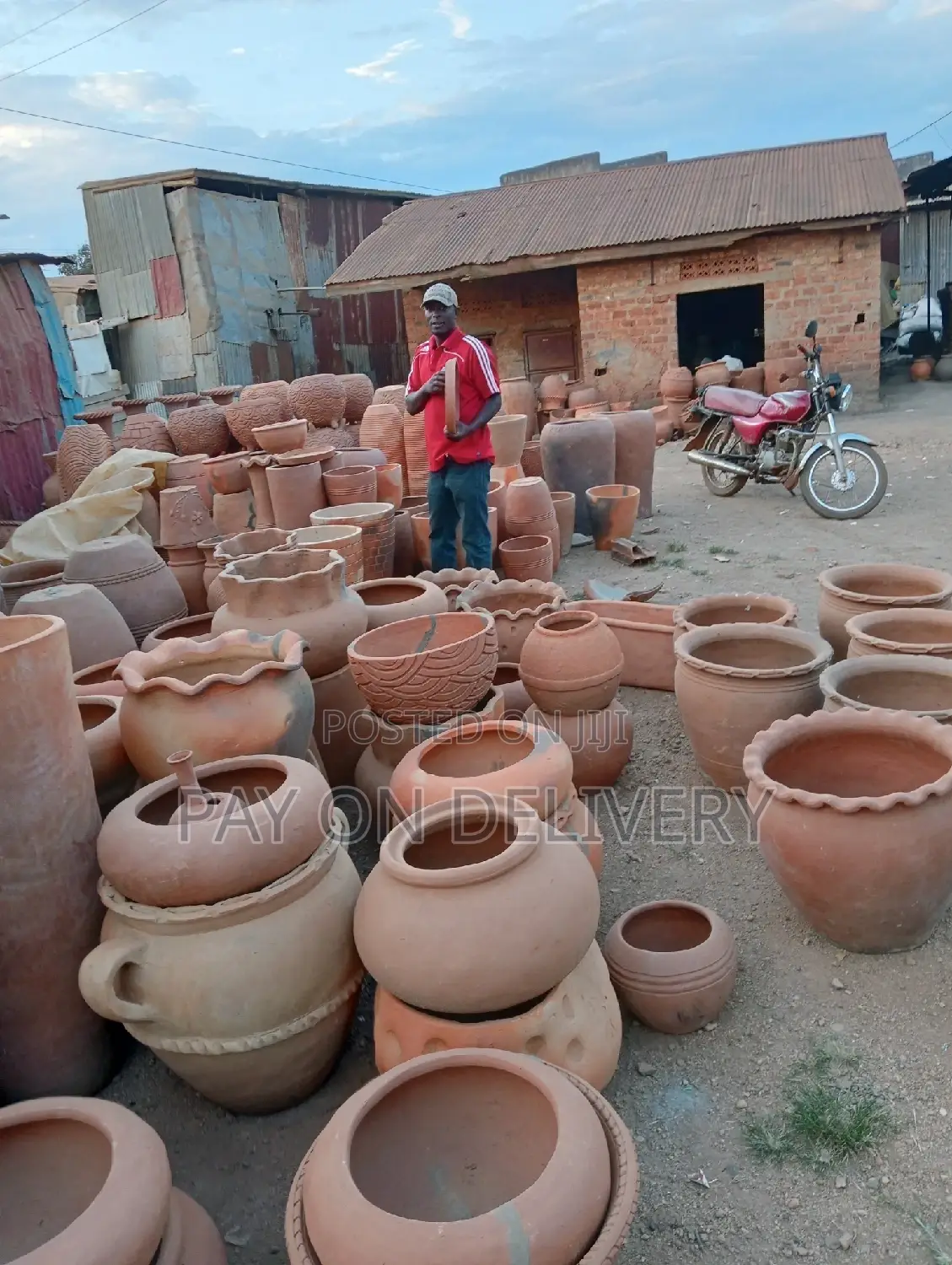 Flower Pots Vases