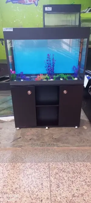 The Properly Constructed Aquarium With Best Interior