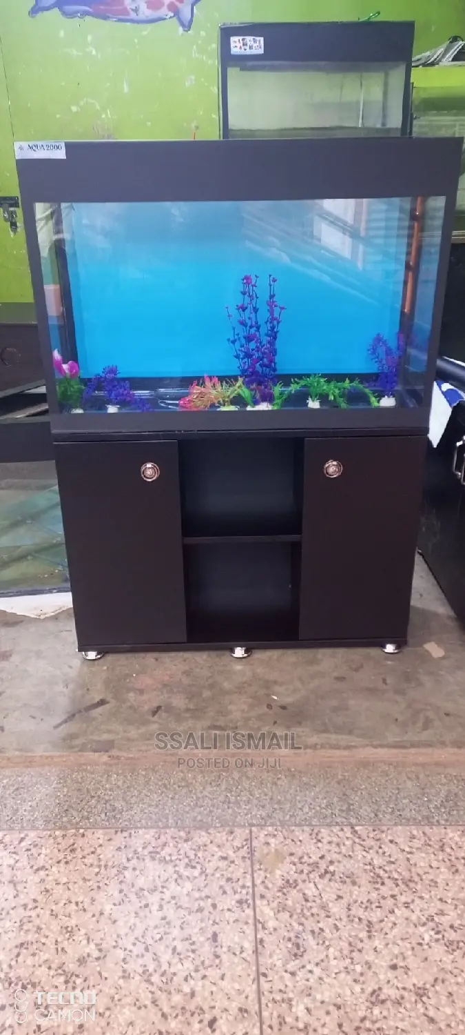 The Properly Constructed Aquarium With Best Interior