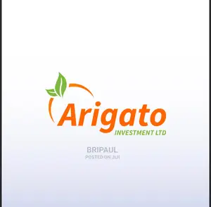 Logo Designing And Graphics Work