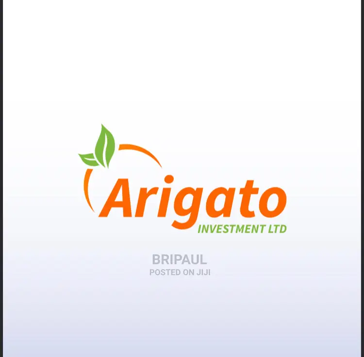 Logo Designing And Graphics Work
