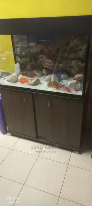 Coffee Brown Best Aquarium
