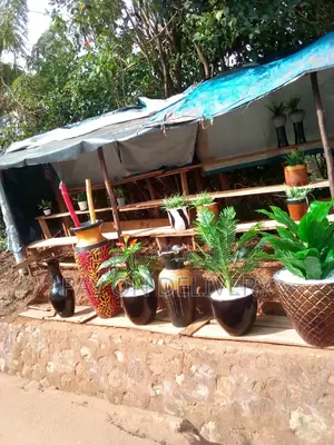 Best for Your Flowers(Flower Pots)