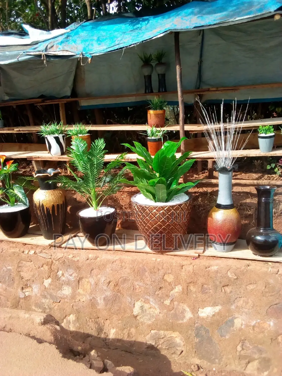 Best for Your Flowers(Flower Pots)