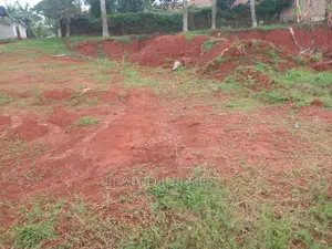 Kisaasi Komamboga Near the Tarmack Land