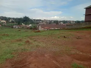 Kisaasi Komamboga Awesome Plots for Sell